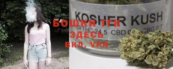 хмурый Костерёво